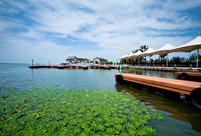 巨人網(wǎng)絡(luò)11年游陽澄湖、沙家浜