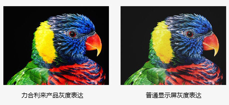 P2小間距l(xiāng)ed顯示屏 P2小間距l(xiāng)ed顯示屏