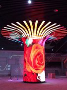 樹(shù)形led顯示屏項(xiàng)目在福建晉江25平方