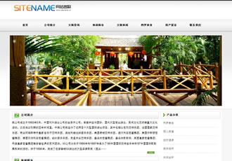 地方文化宣傳各類(lèi)歷史地區(qū)文化建站模板