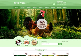 綠色家禽畜牧養(yǎng)殖行業(yè)織夢模板(帶手機端)